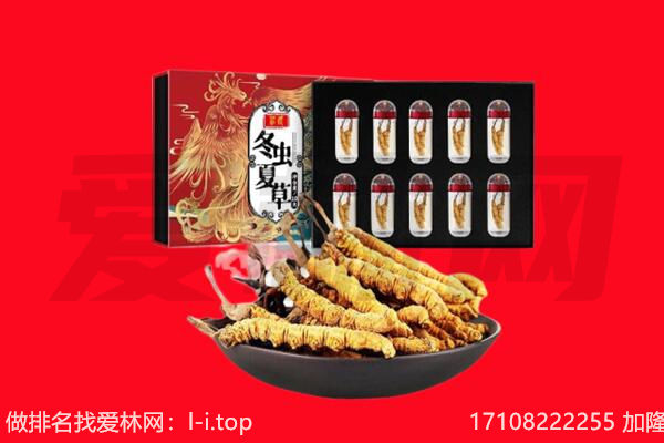 海西回收虫草.jpg